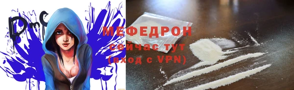 сатива Беломорск