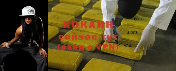 сатива Беломорск