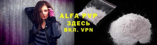 сатива Беломорск