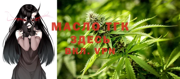сатива Беломорск