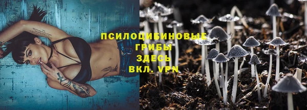 гашиш Богородицк