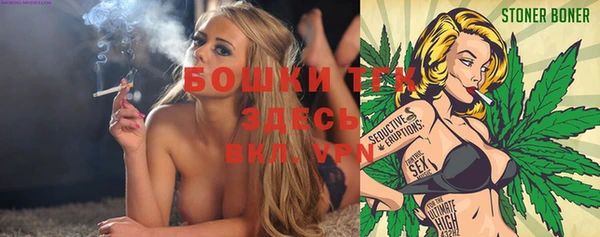сатива Беломорск
