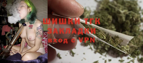 сатива Беломорск