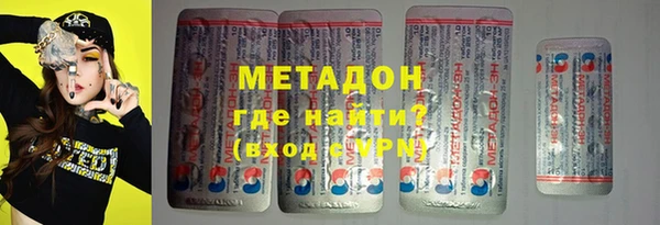 сатива Беломорск
