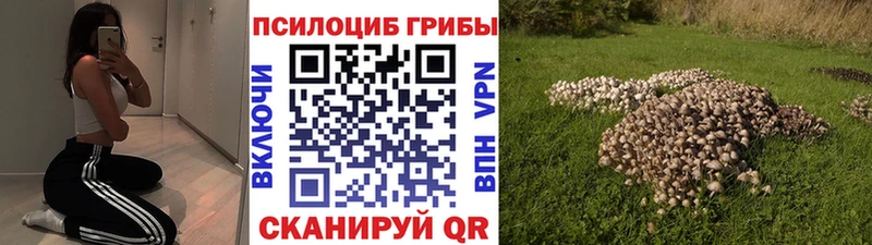 нарко площадка какой сайт  Кизилюрт  Псилоцибиновые грибы MAGIC MUSHROOMS 
